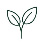 Natūralūs gamtos produktai sveikai gyvensenai ir ekologiniam grožiui.